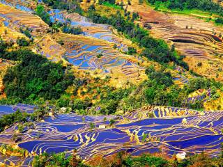 8月到昆明旅游_昆明旅游行程报价_春节前去昆明旅游团