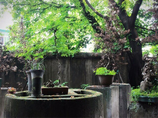 成都旅游多少錢(qián)_成都游價(jià)格