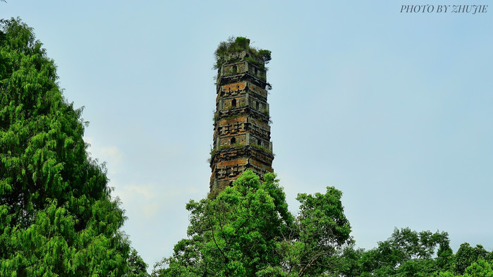 步入国清寺,远远就能够看见一座高塔穿过茂密植被,耸入云间.