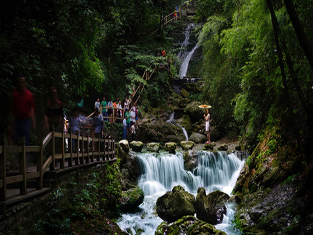  万盛-黑山谷原始生态旅游区1日游>专职导游服务,纯玩