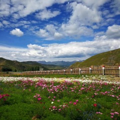 景点模块 