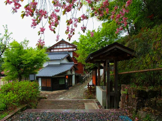 跟团去日本旅游多少钱_日本旅游纯玩跟团_深圳去日本跟团旅游