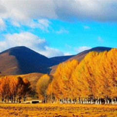 小交通模块 