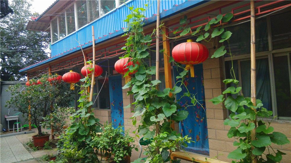 北京丫髻山风景区信中生农家院