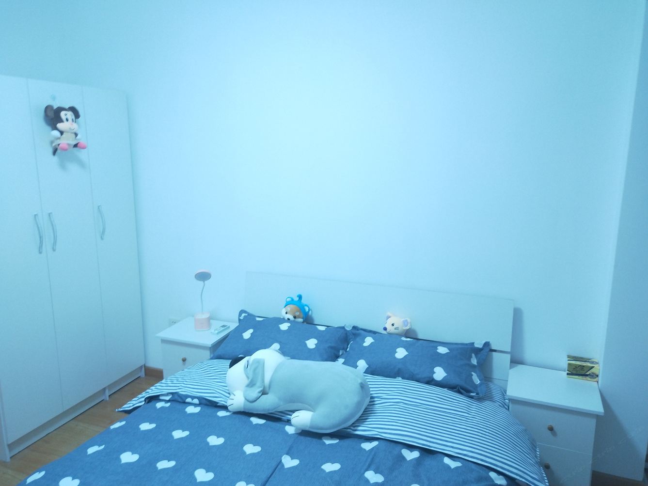 精致一室一厅套房