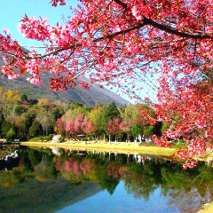 景点模块 