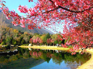 香格里拉旅游最新_香格里拉双人十一日游_香格里拉旅游几月份最合适