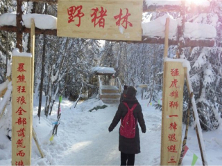 深圳跟团去哈尔滨旅游_报团旅游去哈尔滨_从深圳到哈尔滨旅游