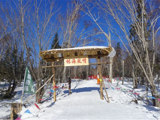 深圳跟团去哈尔滨旅游_报团旅游去哈尔滨_从深圳到哈尔滨旅游