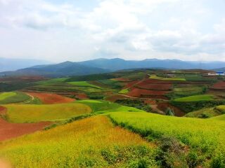 云南元陽梯田旅游組團(tuán)_云南元陽梯田自由行組團(tuán)_云南元陽梯田跟團(tuán)游與自由行
