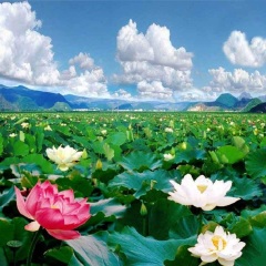 景点模块 