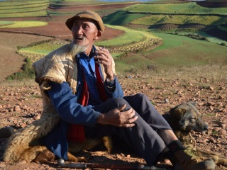 云南昆明旅游要多少錢跟團(tuán)_到云南昆明旅游多少錢_報(bào)團(tuán)去云南昆明多少錢