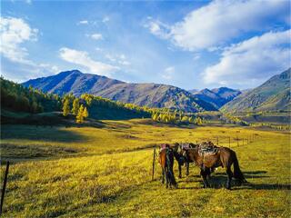 深圳新疆十日游纯玩团_新疆自由行组团_几月去新疆旅游最便宜