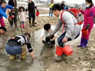 双飞鼓浪屿十日游多少钱_鼓浪屿5日游_到鼓浪屿旅游6日