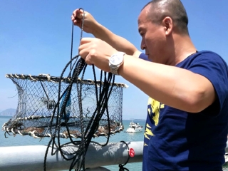 双飞鼓浪屿十日游多少钱_鼓浪屿5日游_到鼓浪屿旅游6日