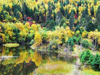 現(xiàn)在去云南香格里拉旅游多少錢_云南香格里拉旅行團_旅行團云南香格里拉游