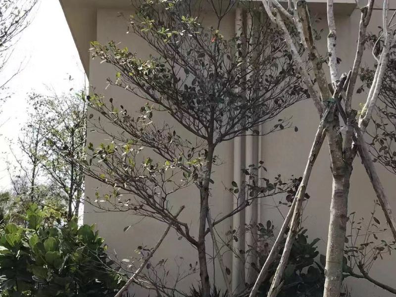 惠东万科格林酒店