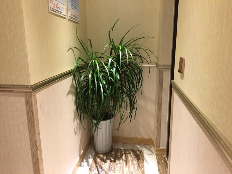 酒店大堂