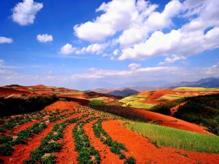 旅游团昆明旅游_特价昆明游_深圳出发昆明游