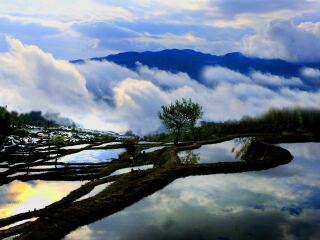 旅游团昆明旅游_特价昆明游_深圳出发昆明游