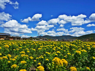 去丽江旅行线路_春节前去丽江旅游团_丽江8天旅游
