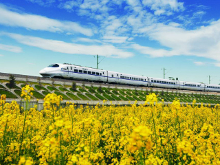 申请厦门旅游签证_去厦门旅游价格_厦门那个旅行团好