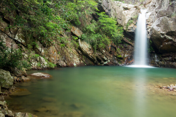 市旅游局牵头各品牌景区 极力宣传暑期研学线
