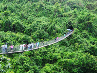 三亚旅游报团价_三亚五天跟团旅游_去三亚靠谱的旅行团