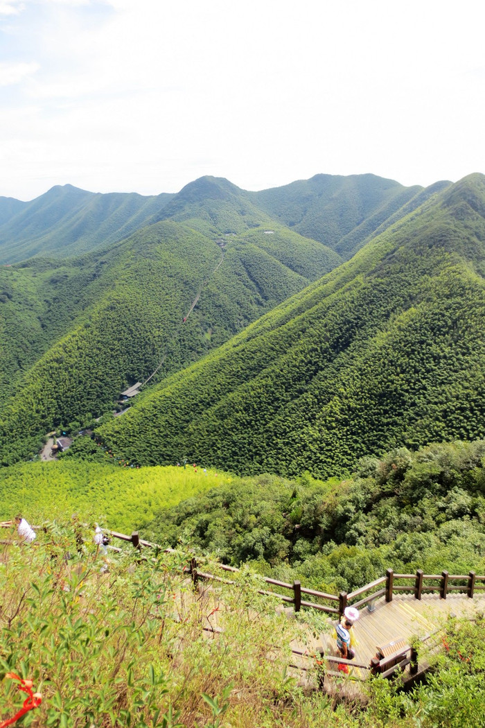 【订单游记】竹天竹地竹山竹海天目湖