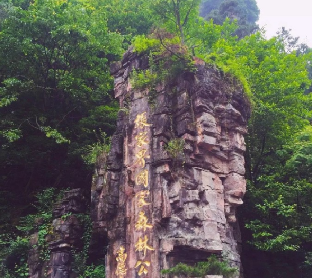 天子归来不看山—奇山险峰一绝的张家界