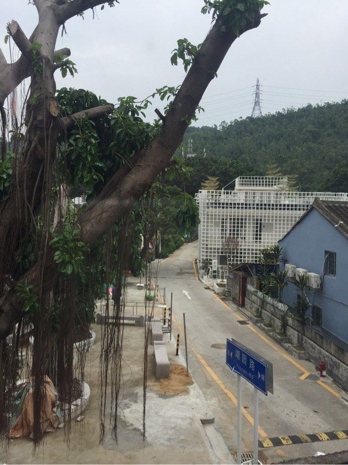深圳皇室民宿(叉路口分店)