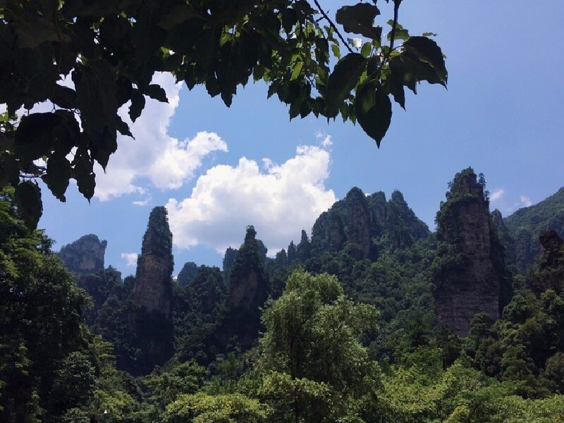 张家界市人口多少人口_张家界市永定区图片