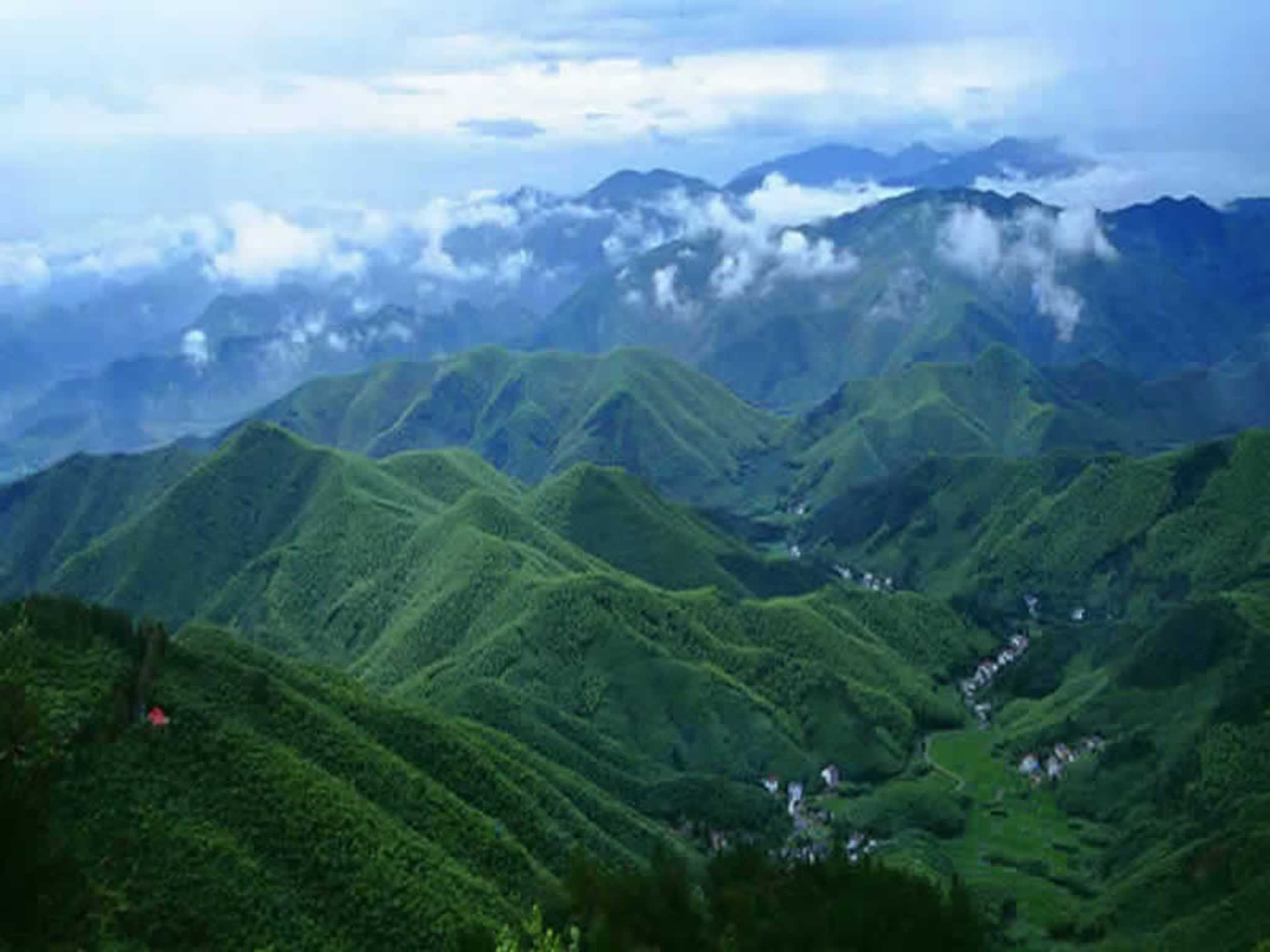 1天湖州玩法,这个春天到莫干山境庭挖笋采茶