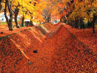 报团旅游日本_去日本的旅行团_几月份去日本旅游最好