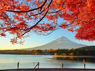 报团旅游日本_去日本的旅行团_几月份去日本旅游最好