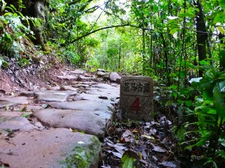云南西雙版納旅游跟團(tuán)多少錢_旅行團(tuán)云南西雙版納游_東莞到云南西雙版納游