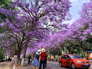 云南麗江游花多少錢_到云南麗江旅游報團價格_云南麗江旅行跟團