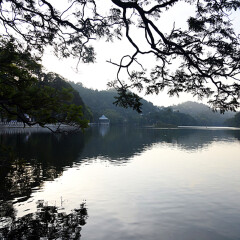 景点模块 