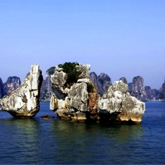 景点模块 