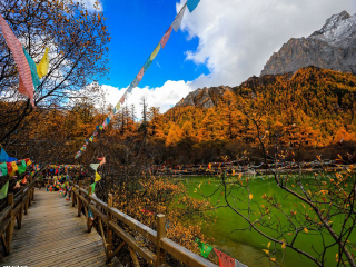 去稻城亚丁旅游组团_现在去稻城亚丁旅游多少钱_稻城亚丁旅游最新