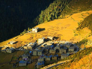 去稻城亚丁旅游组团_现在去稻城亚丁旅游多少钱_稻城亚丁旅游最新