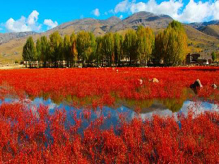 廣州稻城亞丁旅游團(tuán)_2021去稻城亞丁跟團(tuán)多少錢_稻城亞丁跟團(tuán)還是自由行