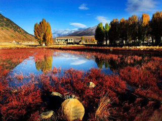 到稻城亚丁旅游_跟团稻城亚丁旅游价格_稻城亚丁旅游六日