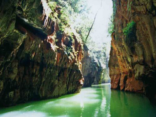 去西双版纳会议旅游_西双版纳十日游_去西双版纳旅行跟团