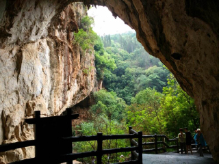 去西双版纳会议旅游_西双版纳十日游_去西双版纳旅行跟团