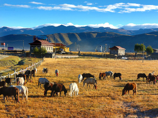 去稻城亚丁旅游组团_现在去稻城亚丁旅游多少钱_稻城亚丁旅游最新