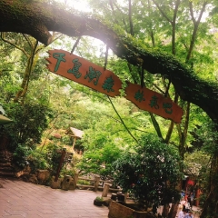 景点模块 