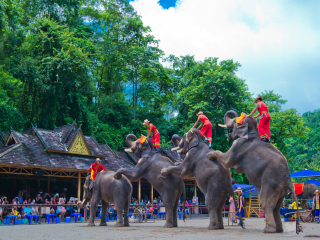 云南西雙版納旅游費用多少_云南西雙版納旅行跟團_云南西雙版納旅游一次多少錢