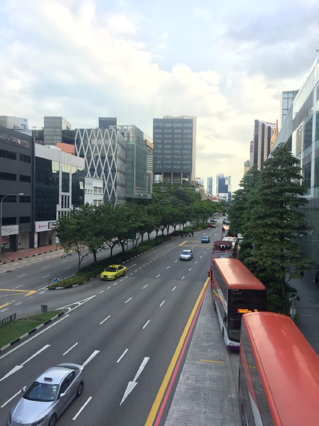 生活小体验                      新加坡的街道干净整洁,花园城市