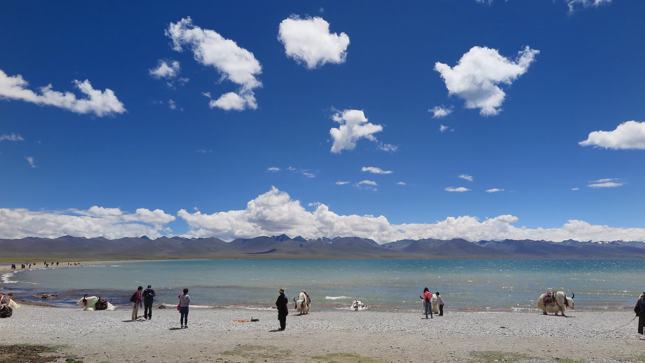拉萨-林芝大峡谷-鲁朗林海-羊湖双飞8日游 初探
